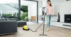 accessories-steam-cleaner-ironing-1
