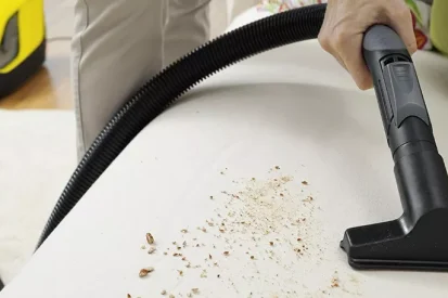 Ciscenje tapacirunga