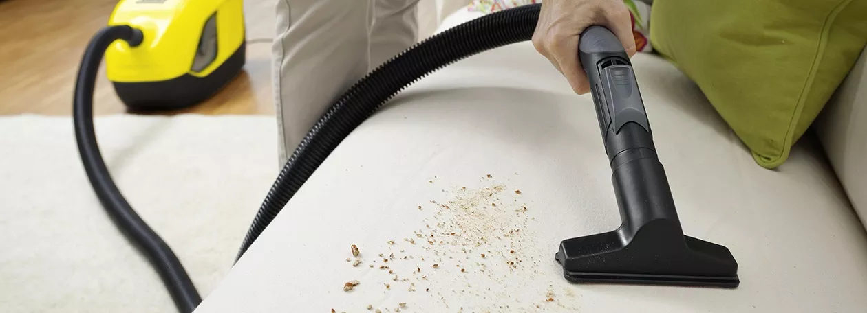 Ciscenje tapacirunga