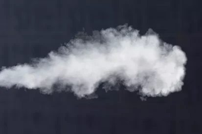 Ciscenje pomocu pare