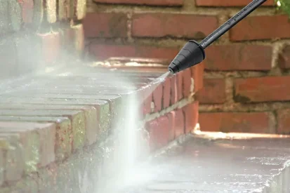 Plocnici zarasli u mahovinu