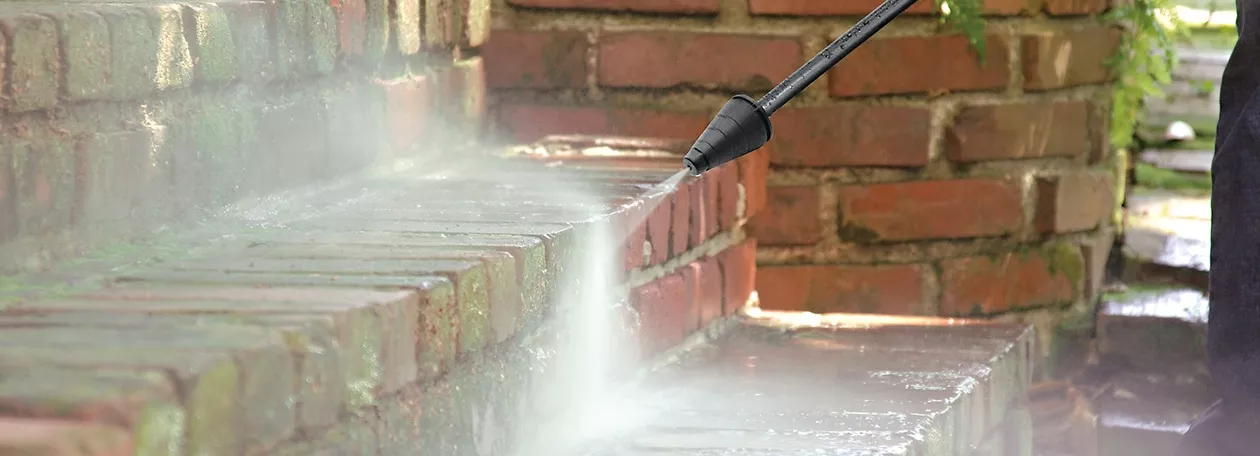 Plocnici zarasli u mahovinu