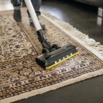 vc 6 cordless ourfamily pet
