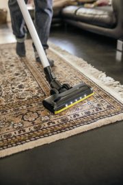 vc 6 cordless ourfamily pet