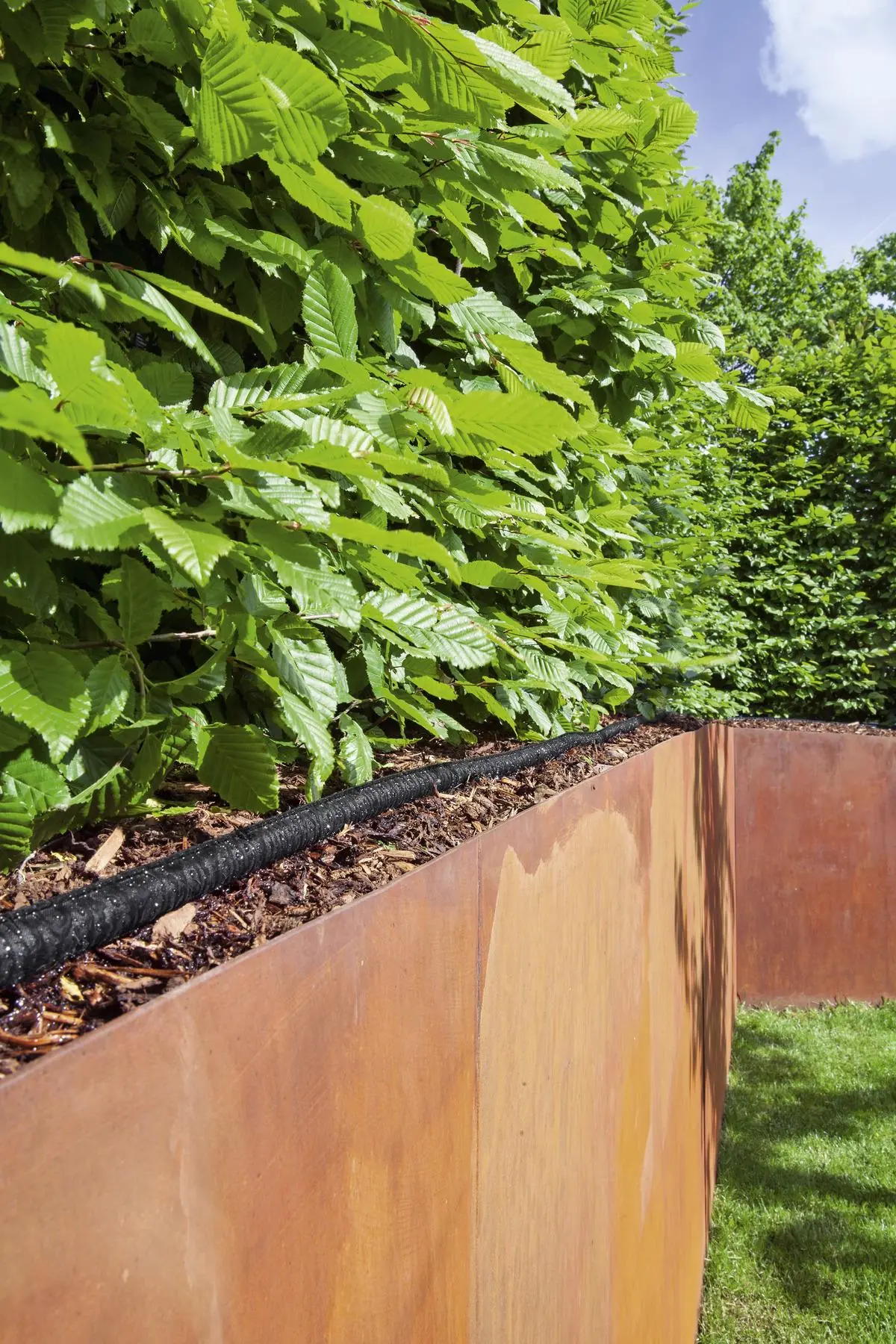 Set creva kap po kap - Slika 3