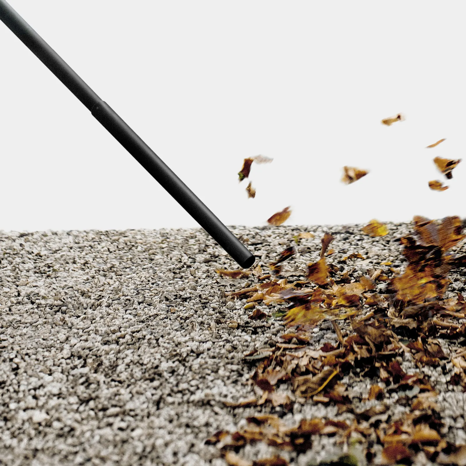 WD 4S Go!Further - Slika 2